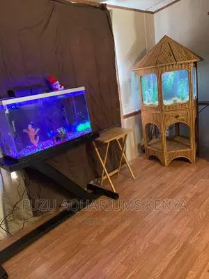 Creative Customized Aquariums