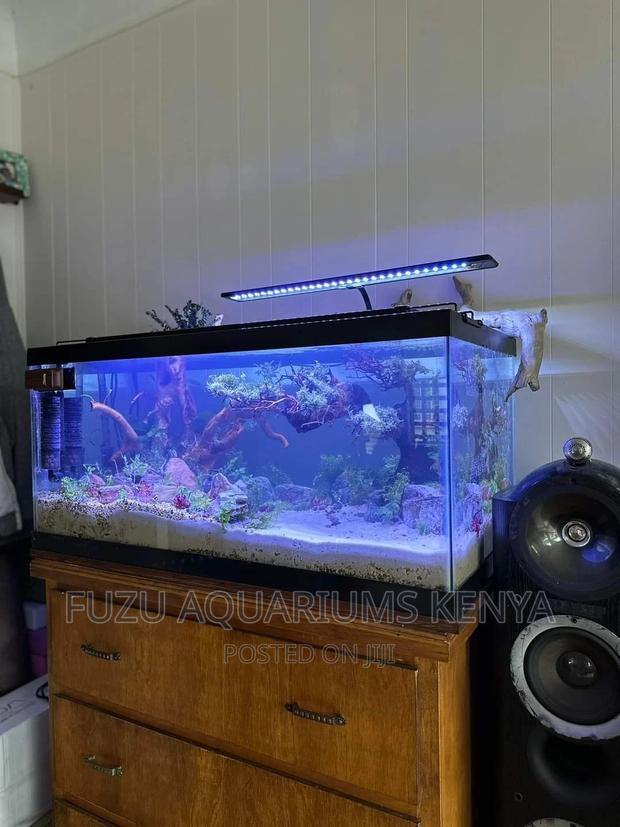 Stand Alone Aquarium - main view