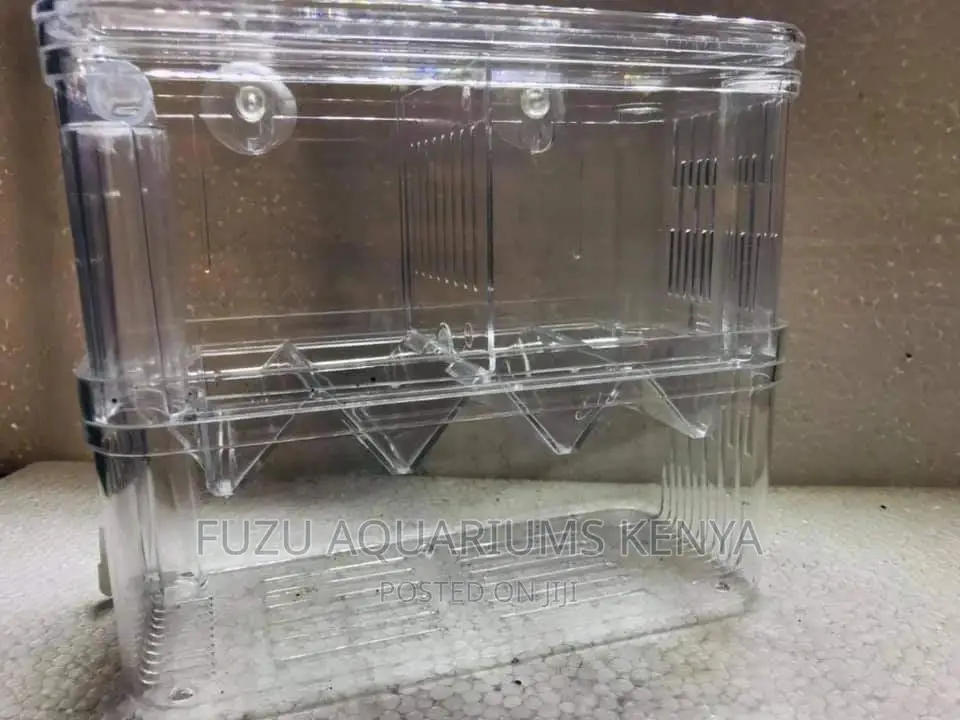 Fish Breeder Box (Acrylic)
