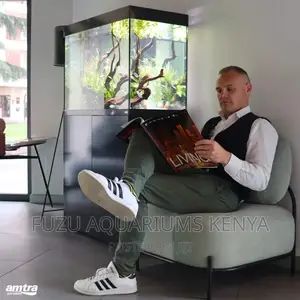Office Aquarium (Reception Area)