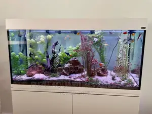 White Sand Aquarium