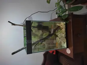 Mini Tower Aquarium