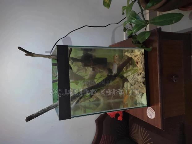 Mini Tower Aquarium - main view