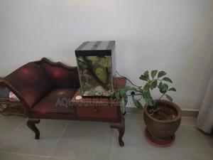 Small Tower Aquarium Tank - thumbnail 2