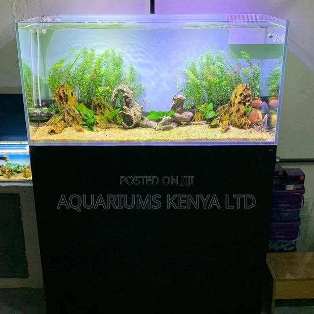 Elegant Planted Aquariums 4ft by 2ft - main view