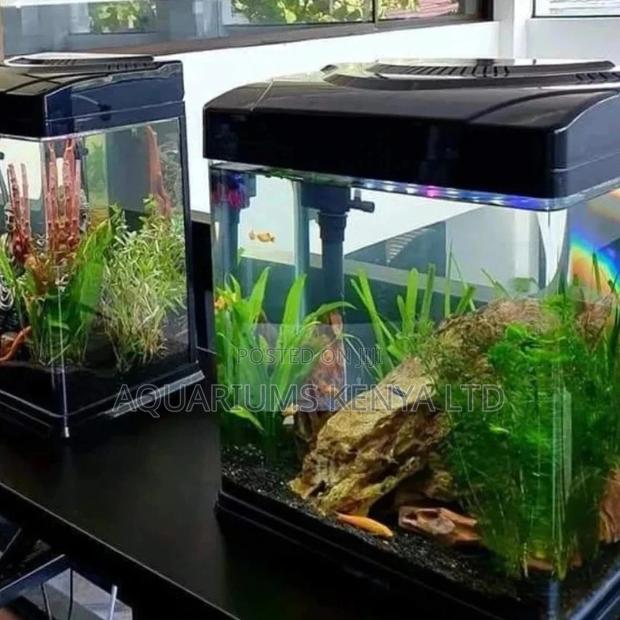 Planted Acrylic Aquarium Tanks With Nano Fish - main view