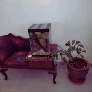 Mini Tower Aquarium, 40litres Aquarium - thumbnail 2