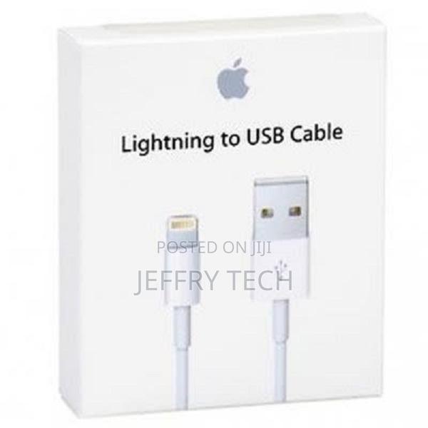 Apple Official Lightning to USB Cable - main view