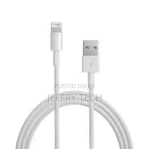 Apple Official Lightning to USB Cable
