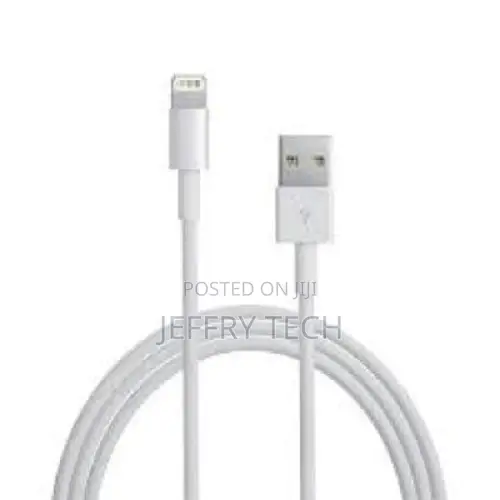 Apple Official Lightning to USB Cable