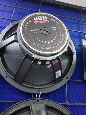 JBN Naked Speaker 15 Inches