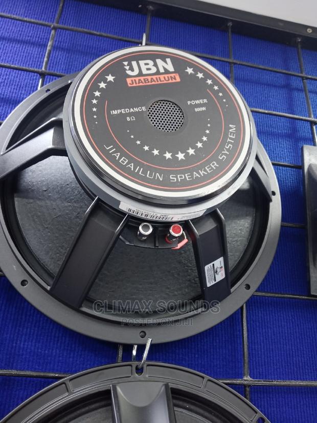 JBN Naked Speaker 15 Inches