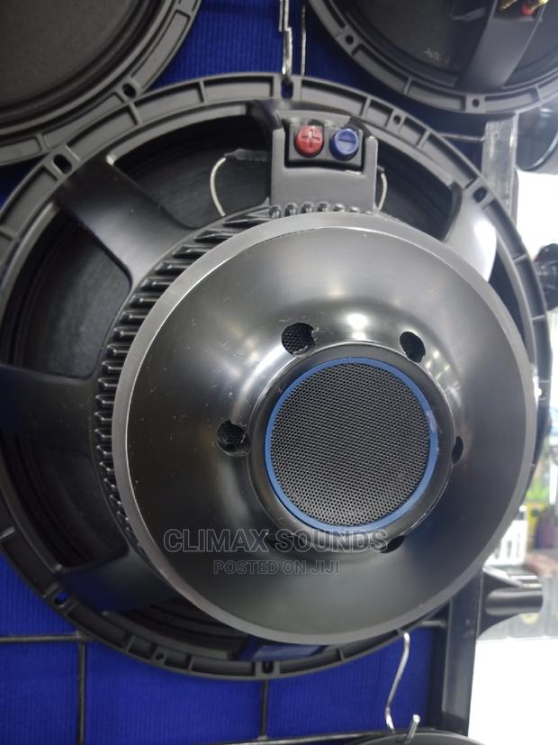 RCF Bass Speaker Naked