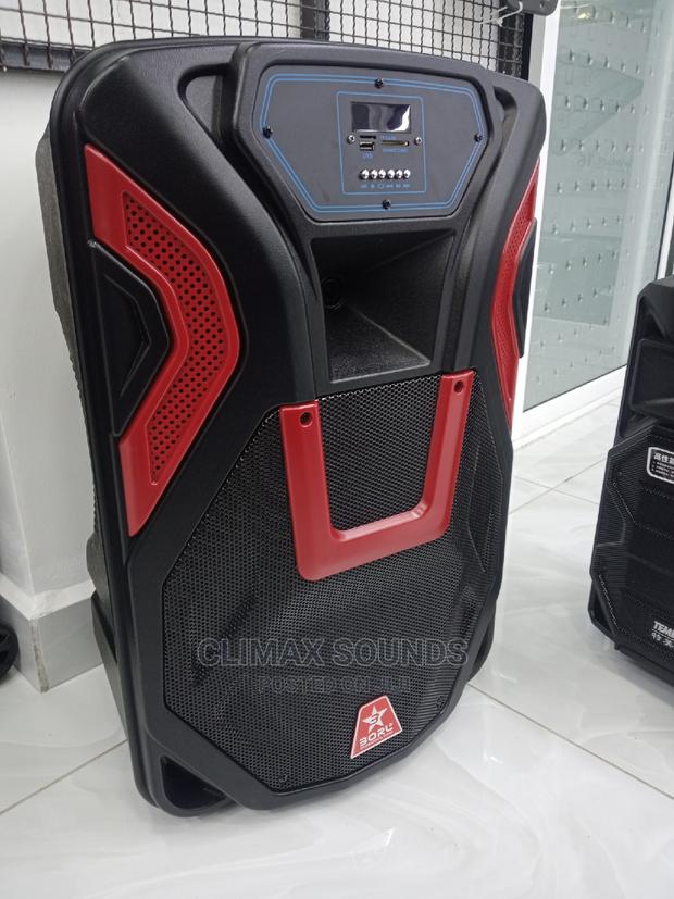 Borl Powered Speaker 15 Inches - thumbnail 3