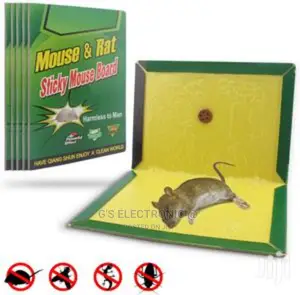 Mouse Glue Traps