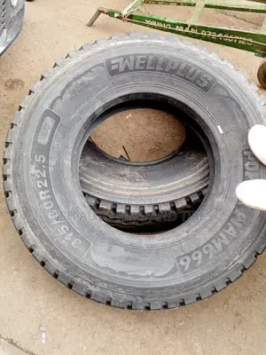 315/80r22.5 Wellplus