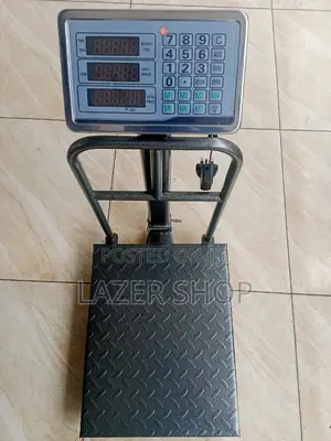 300kg Digital Platform Scale