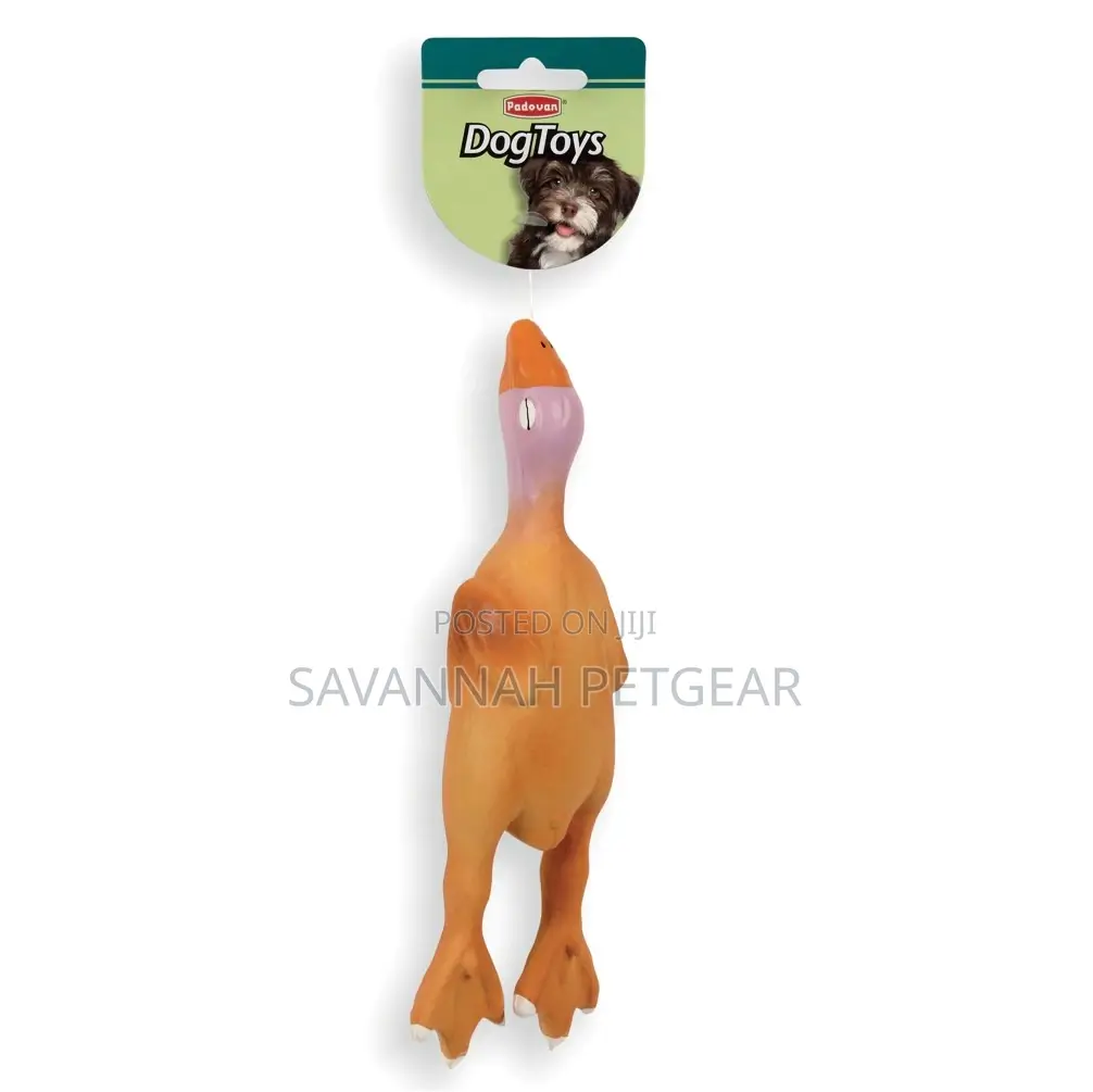 Padovan Latex Duck Toy for Dogs