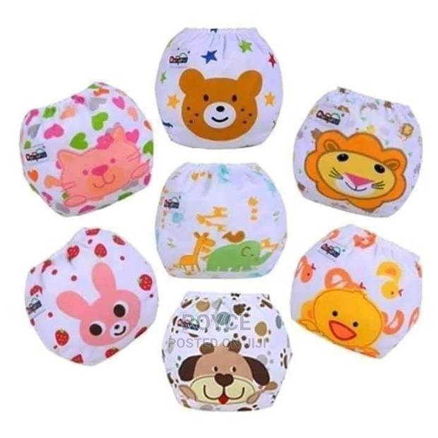 1 Pc Washable Diaper With 3 Cotton Inserts - main view