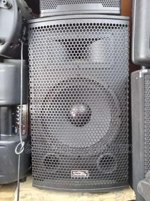 Soundking 15 Inch Speaker