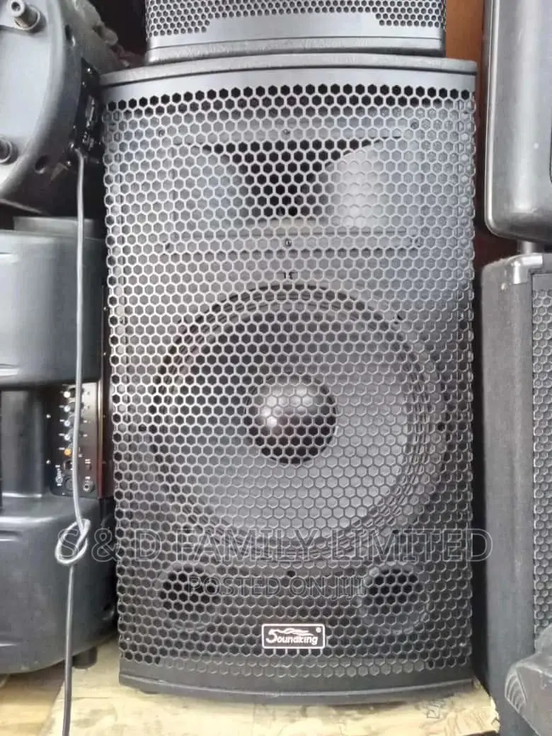 Soundking 15 Inch Speaker