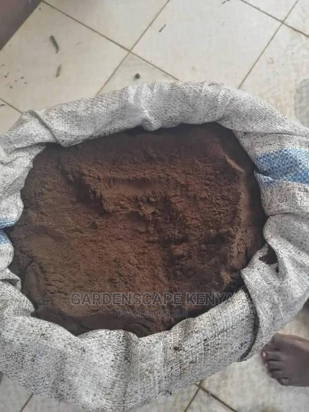 Vanilla Powder Per Kg - main view