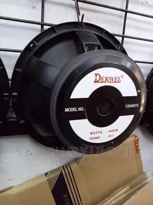 12 Inches Derwel Midbass Speakers 12AH975