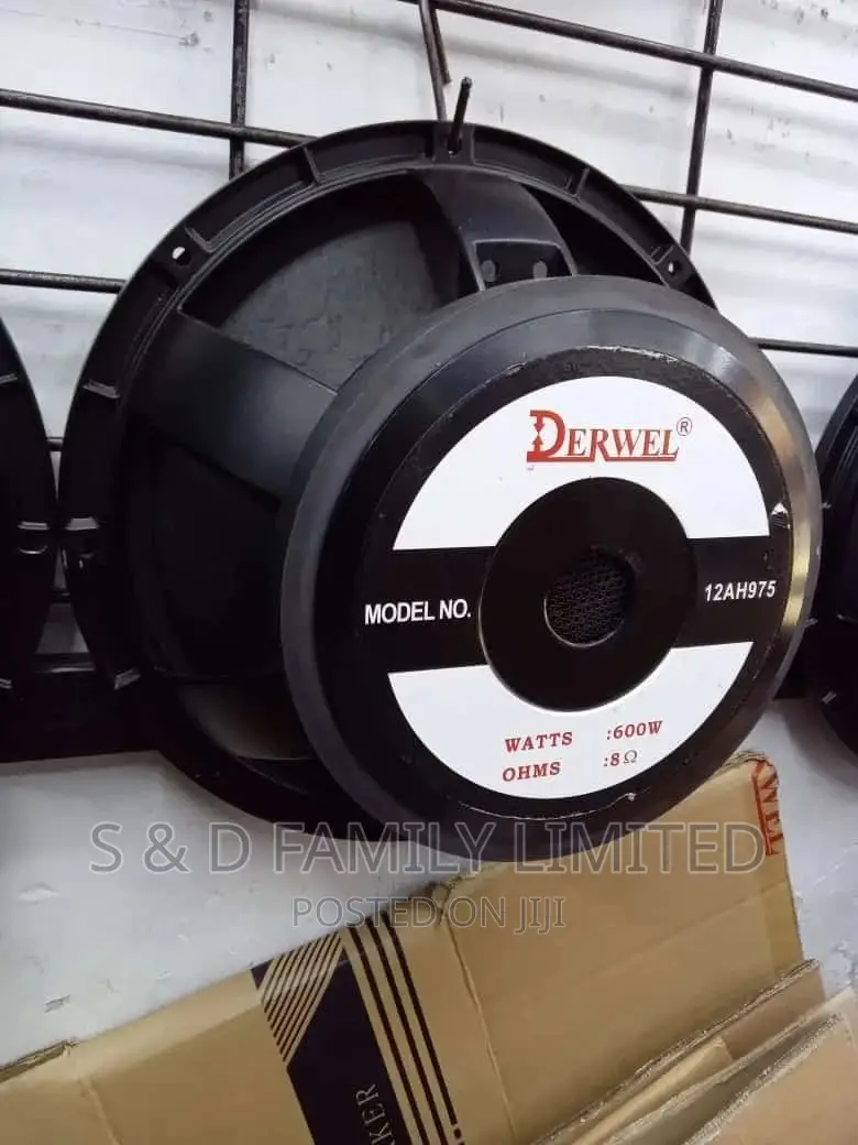 12 Inches Derwel Midbass Speakers 12AH975