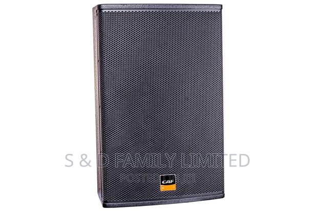 CAF 15 Inch Midrange Speaker