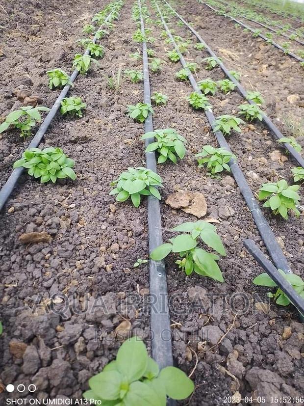 Driplines New Stock Alert - thumbnail 3