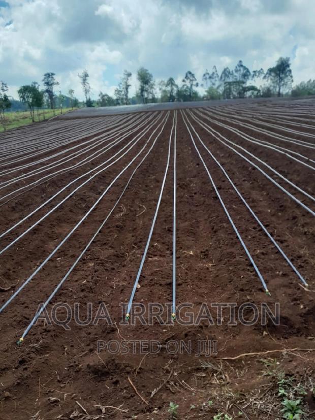 Driplines New Stock Alert - thumbnail 4