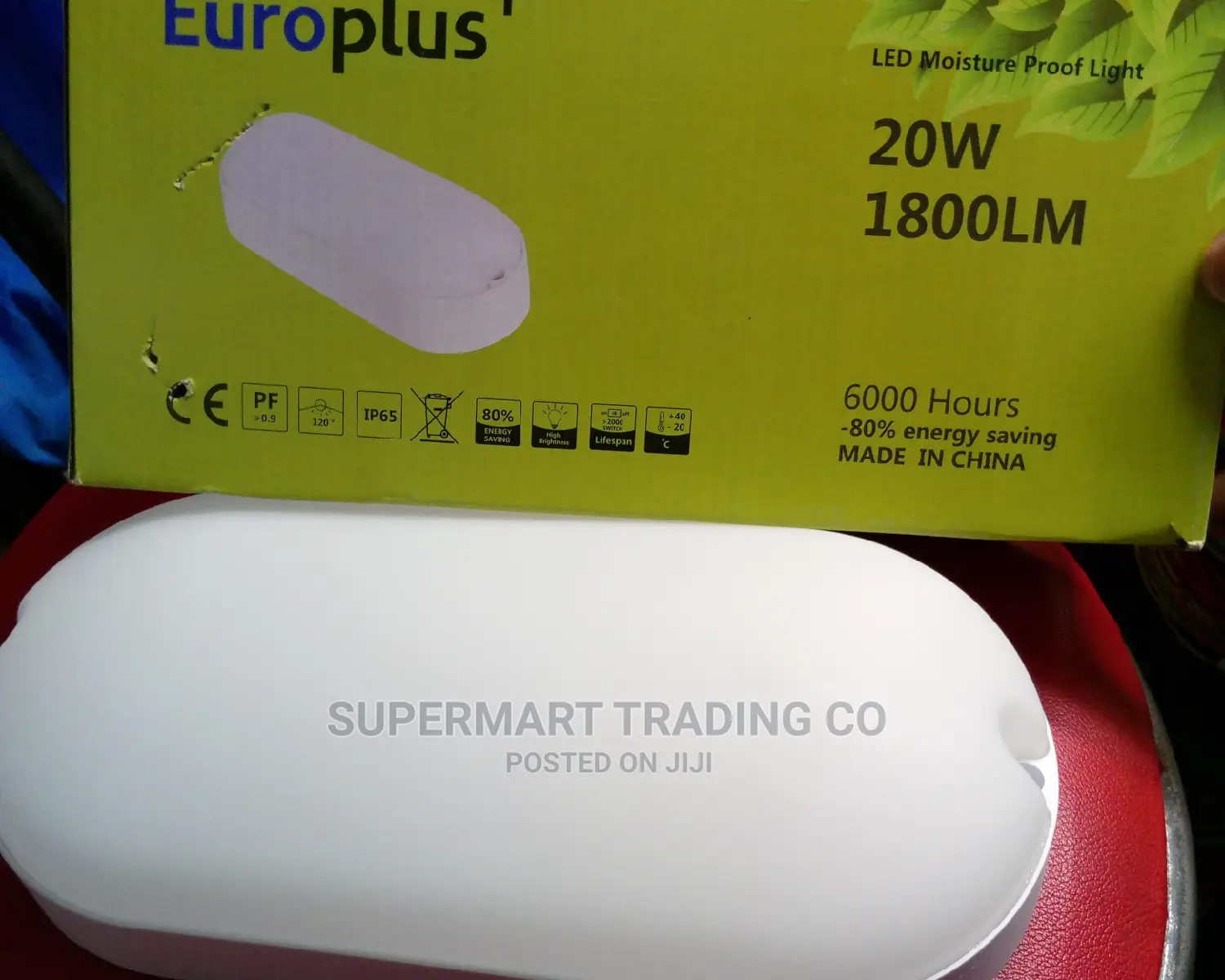 Euro Plus Oval Bulkhead 20w