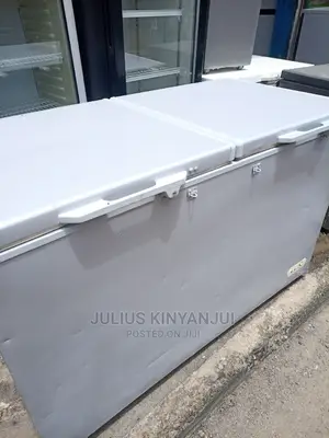 Double Door Freezer