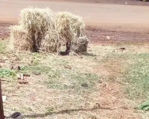 Hay Bales Stack For Event Decor In Kiambu Kileleswa Lavington