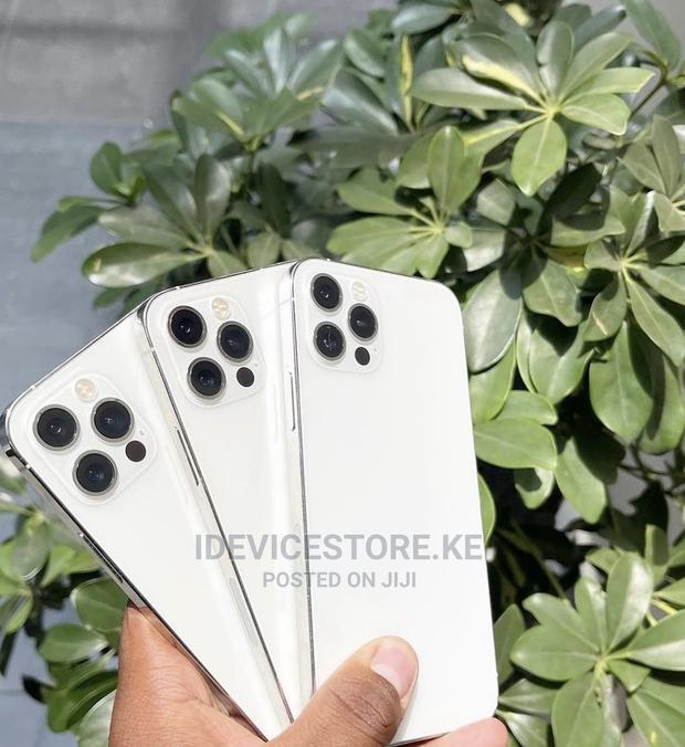 Apple iPhone 12 Pro Max 256 GB Silver - main view