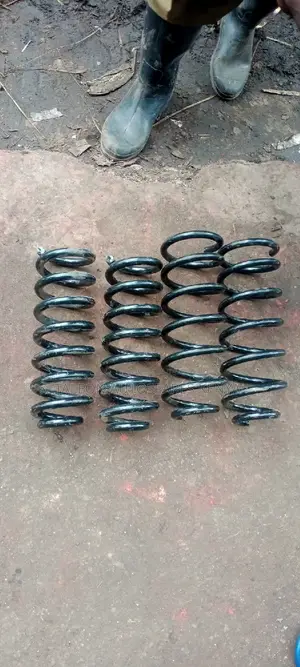 Heavy Duty Springs for Passat