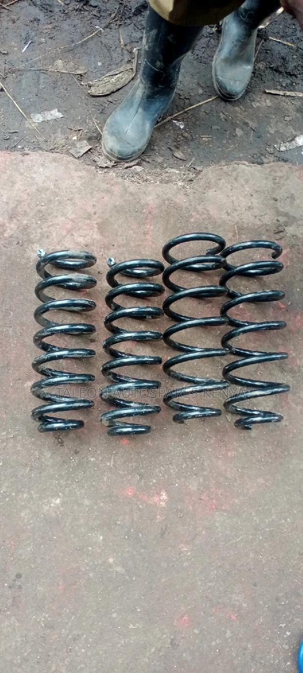Heavy Duty Springs for Passat
