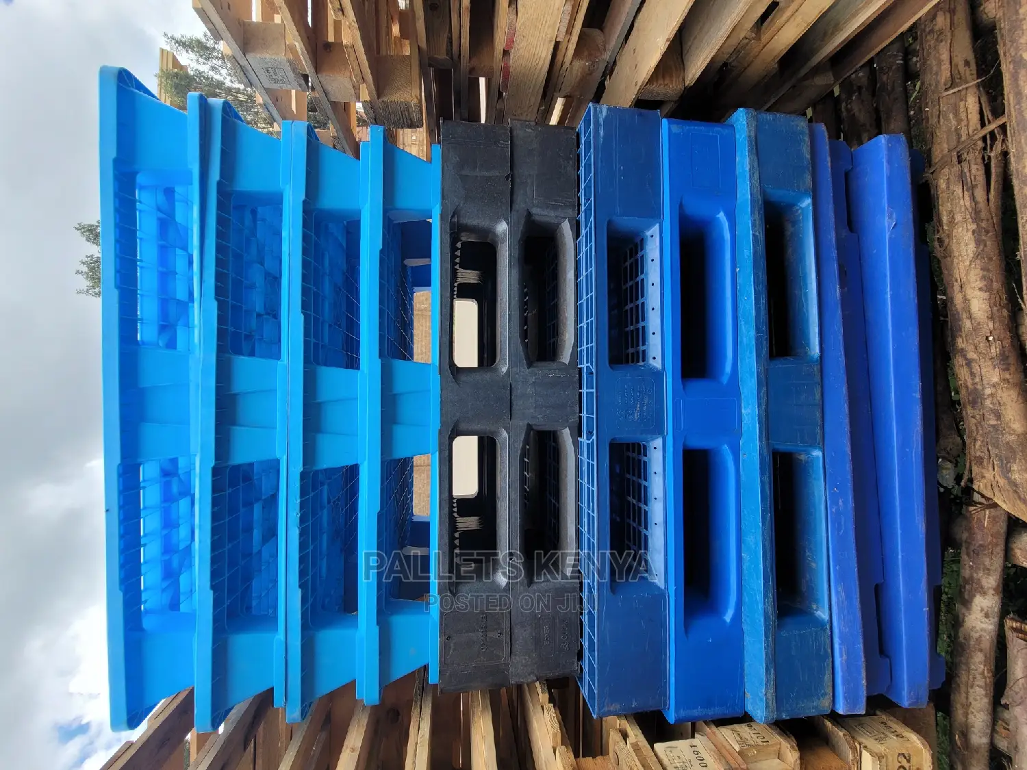 Premium Blueplastic Pallets in Kasarani Store Equipment, Pallets