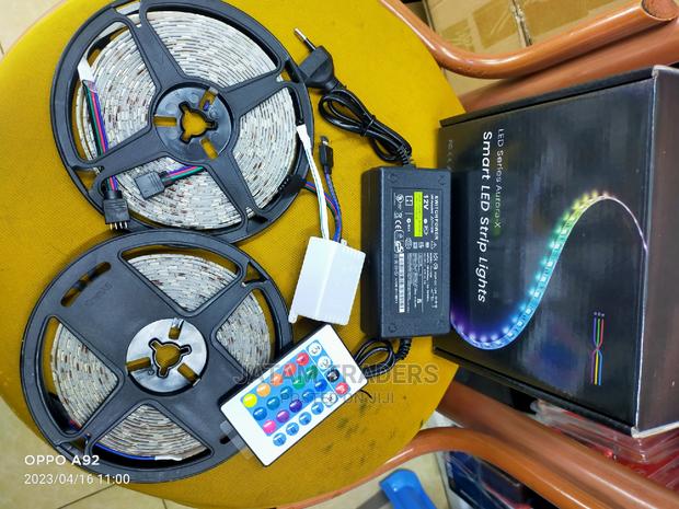 10m LED Snake Lights