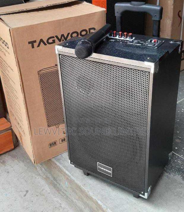 Tagwood 9800 Watts 10 Inch