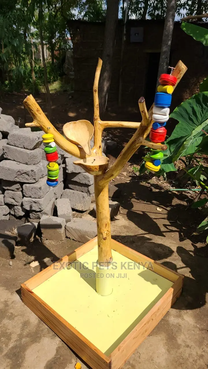Luxury Parrot/Birds Stand