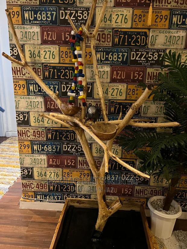 Luxury Parrot/Birds Stand - thumbnail 3