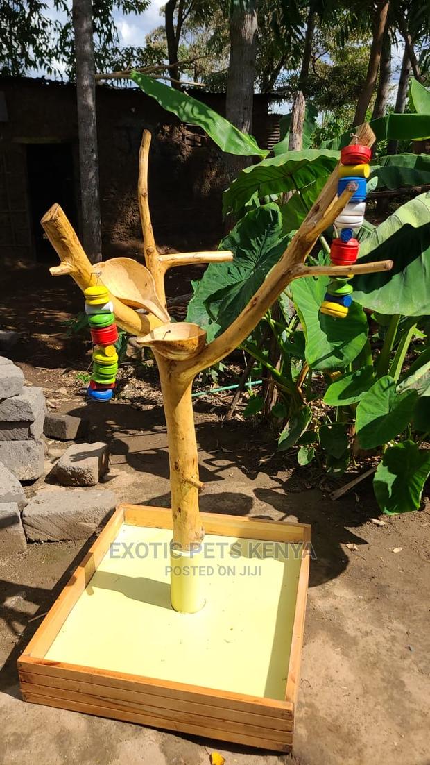 Luxury Parrot/Birds Stand - thumbnail 4