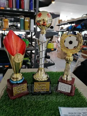 Top High Quality Award Trophies