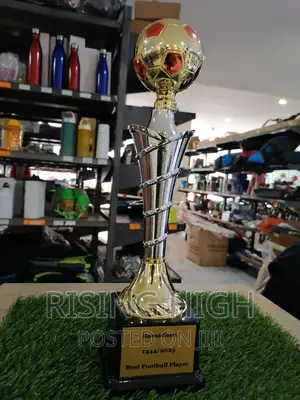 Top High Quality Award Trophies