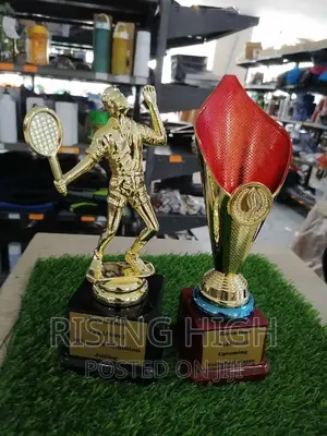 Top High Quality Award Trophies
