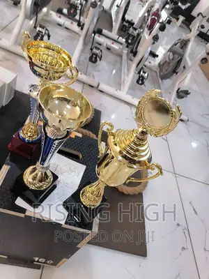 Best Selling Award Trophies.