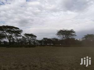 Naivasha (Crater Lake) 21.1 Acres Fronting Lake