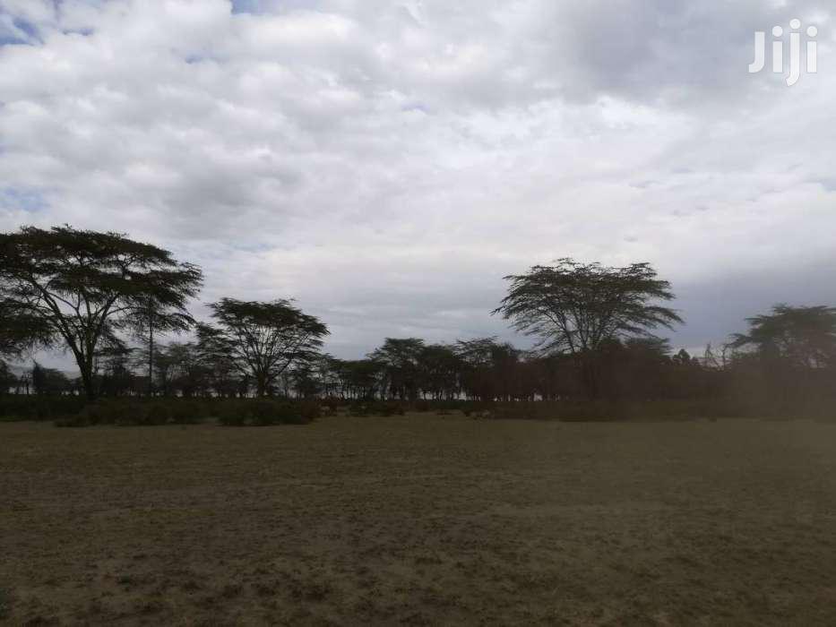 Naivasha (Crater Lake) 21.1 Acres Fronting Lake