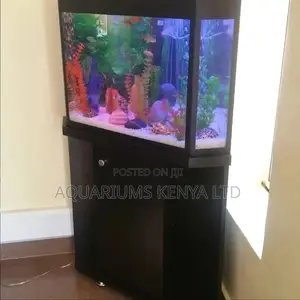 Pentagon Aquarium , Custom Made in the Shape of the Room